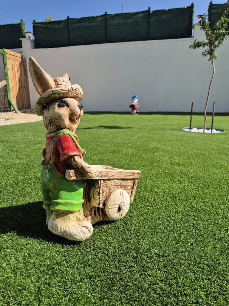 Çim Halı Nasıl Temizlenir