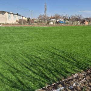 30mm Çim Halı