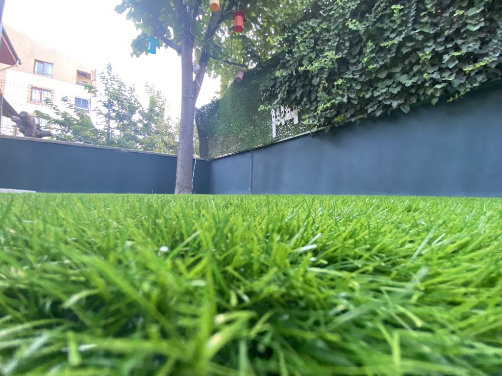 Çim Halı Zemin