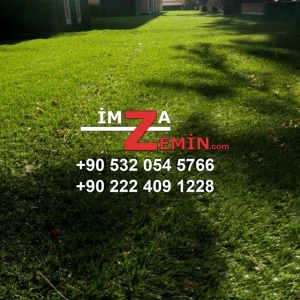 Sarartılmış Çim Halı